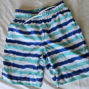 Blue and Green Striped Kids Swim Trunks